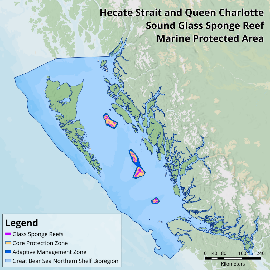 Hecate Strait & Queen Charlotte Sound Glass Sponge Reefs MPA